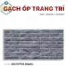 Gạch Ốp Trang Trí 25x50 MIKADO GK25754