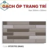 Gạch Ốp Trang Trí 25x50 Mikado - GT25702