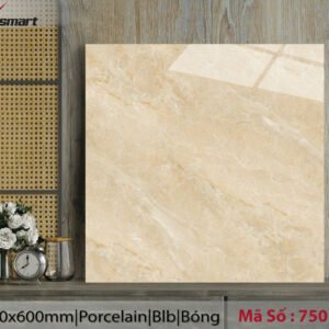 GẠCH LÁT NỀN 60x60 CATALAN ĐÁ Bóng Kính 75010