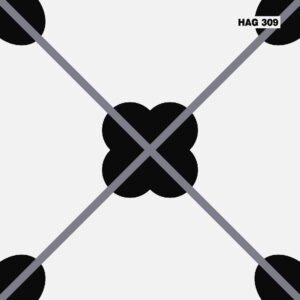 Gạch bông Trang Trí 30x30 HAG309