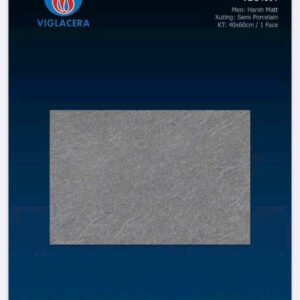 Gạch lát sân 40x60 - Viglacera VBS4601