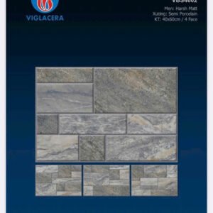 Gạch lát sân 40x60 - Viglacera VBS4602