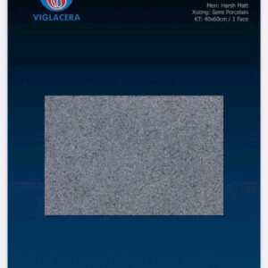 Gạch lát sân 40x60 - Viglacera VBS4604