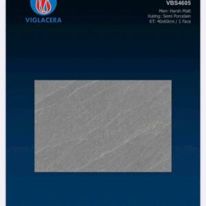 Gạch lát sân 40x60 - Viglacera VBS4605