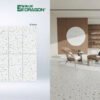 Gạch ốp lát 60x1m2 Tasa 1726
