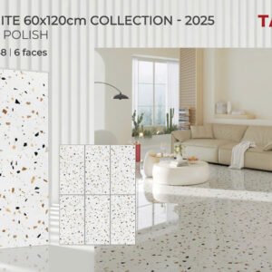 Gạch ốp lát Tasa 60x1m2 Đá Bóng kính 1648