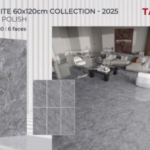 Gạch ốp lát Tasa 60x1m2 Đá Bóng kính 1640