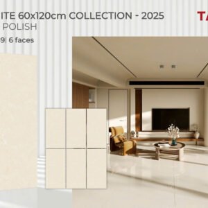 Gạch ốp lát Tasa 60x1m2 Đá Bóng kính 1649