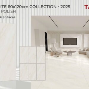 Gạch ốp lát Tasa 60x1m2 Đá Bóng kính 1646