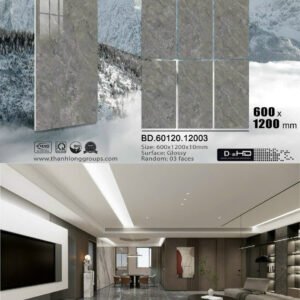Gạch ốp lát Tasa 60x1m2 Đá Bóng kính 12003