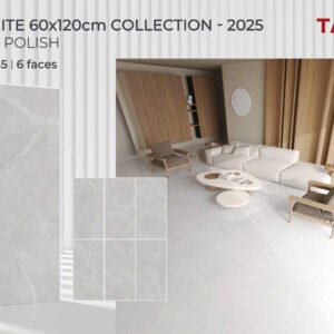 Gạch ốp lát Tasa 60x1m2 Đá Bóng kính NaNo 1645