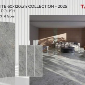 Gạch ốp lát Tasa 60x1m2 Đá Bóng kính NaNo 1643