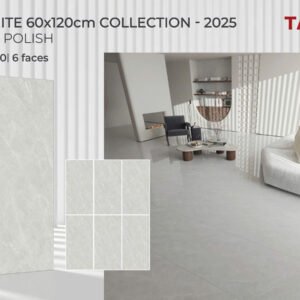 Gạch ốp lát Tasa 60x1m2 Đá Bóng kính NaNo 1650