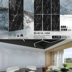 Gạch ốp lát Tasa 60x1m2 Đá Bóng kính 12004