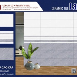 Gạch ốp tường 30x60 TK3609N