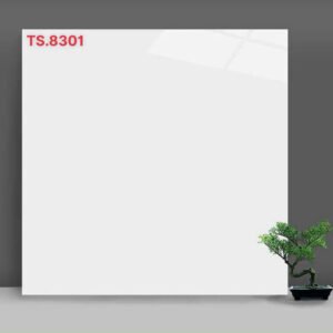 Gạch lát nền 80x80 Tasa porcelain TS8301