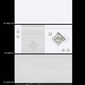 Gạch ốp tường 40x80 Hà Thanh TK4853