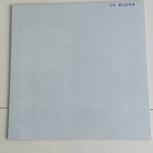 Gạch lát nền 60x60Cm Viglacera Đá Bán Sứ Matt BS 6603