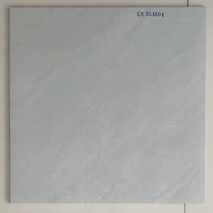 Gạch lát nền 60x60Cm Viglacera Đá Bán Sứ SHBS 6601
